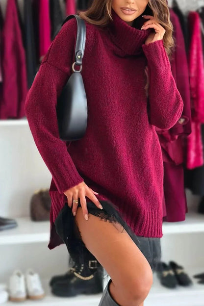 Velour Ease Oversized Turtleneck Sweater